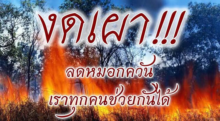 รณรงค์ให้ประชาชนลดการเผาในที่โล่งแจ้งลดมลพิษทางอากาศ